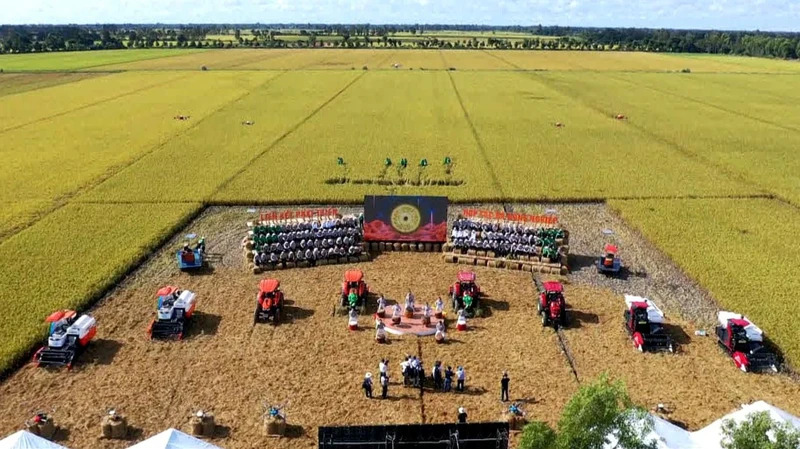 Giá xuất khẩu tăng phi mã, doanh nghiệp xuất khẩu gạo hướng đến chuỗi phát triển bền vững